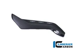 Sub Frame protector right matt Panigale V4 / V4 S
