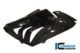 Fairing Race Side Panel (right) Carbon - BMW S 1000 RR Stocksport/Racing (2012-2014)