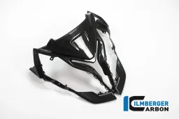 Air Intake (Front Fairing centre piece) BMW S1000XR MY 2015-2019