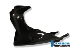 Bellypan Carbon - BMW K 1200 R (2005-2008) / K 1200 R Sport (2007-2011) / K 1300 R (2008-now)
