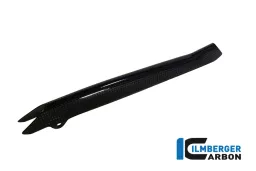 Brake-pipe Cover Carbon - BMW R 1200 GS (LC) from 2013 / R 1200 R (LC) from 2015 / R 1200 RS (LC) fr