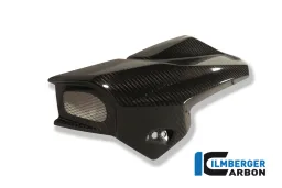 Airtube left Carbon - BMW K 1300 R (2008-now)