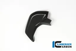Cover near the instrument left side gloss surface Ducati MTS'15