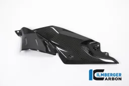 Side Panel under the Tank left Side Carbon - BMW R 1200 R (LC) from 2015