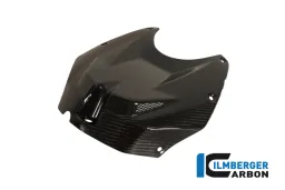 Upper Tank Cover Carbon - BMW S 1000 RR Stocksport/Racing (2010-2014)