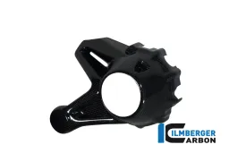 Bevel Drive Housing Protector Carbon - BMW R 1200 GS (LC from 2013) / R 1200 R (LC) from 2015 / R 12