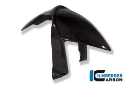 Front Mudguard Carbon - BMW R 1200 S