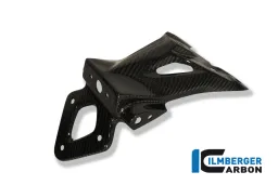 Number Plate Holder Carbon - BMW S 1000 R (2014-now) / S 1000 RR Street (2010-now) / HP 4 (2012-now)