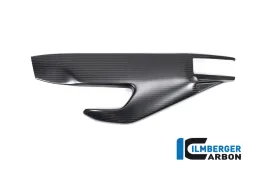 Swing Arm Cover left side matt Tuono/RSV4 from 2021