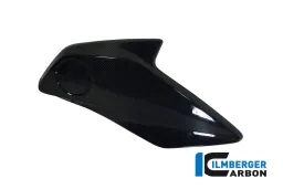 Radiator Cover (right) Carbon - BMW R 1200 GS (LC from 2013)