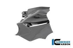 right fairing side panel Racing Ducati Panigale V4 R Racing 2025