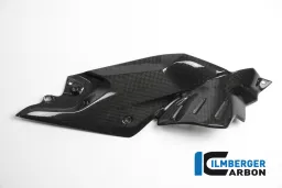 Side Panel under the Tank right Side Carbon - BMW R 1200 R (LC) from 2015