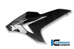 Side Fairing right Side Carbon - BMW S 1000 R