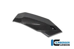 Bellypan 2021 right side BMW S 1000 R MY from 2021 / M 1000 R MY from 2023