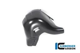 Exhaust protector matt Streetfighter/Panigale V4 (S) from 2022 Euro V