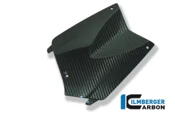 Battery Cover Carbon - BMW K 1200 R (2005-2008) / K 1200 R Sport (2007-2011) / K 1300 R (2008-now)