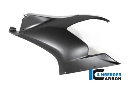 Fairing Side Panel left Side prepared for winglet matt Panigale V2