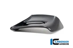 Winglet left side matt Panigale V4 (S) from 2022