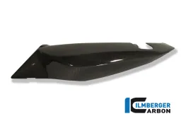 Underseat Side Panel left Side Carbon - BMW F 800 R (2009-2014) / S (2006-now) / ST (2006-now) / GT