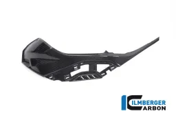Tank side panel left with attachments for colored OEM Panel  BMW S 1000 RR from MY 2019
