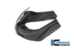 Tank Cover BMW S 1000 RR Race from MY 2019