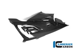 Fairing Side Panel Racing right BMW S 1000 RR MY from 2019