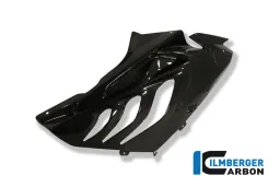 Fairing Race Side Panel (right) Carbon - BMW S 1000 RR Stocksport/Racing Parts