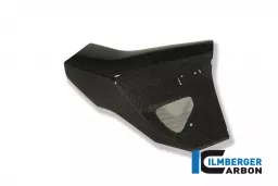 Radiator Cover right Side Carbon - BMW F 800 R (2009-2011)