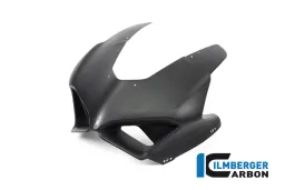 Front Fairing Stocksport matt Panigale V4 Racing