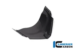 Panel under the front fairing gloss Panigale V4 Racing