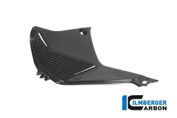 Cover near the Instrument left Side BMW R 1250 RS´19