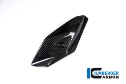 Front Fairing Side Panel left Side Carbon - BMW S 1000 R