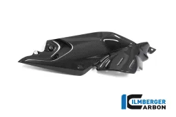 Side Panel under the Tank right BMW R 1250 R