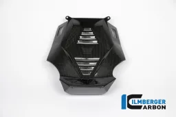 Bellypan central part Carbon - BMW R 1200 R (LC) from 2015 / BMW R 1200 RS (LC) from 2015