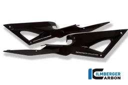 Airbox Covers pair Carbon - Ducati 848 /1098 / 1198 / S / R