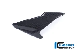 FAIRING SIDE PANEL (RIGHT) - BMW S 1000 RR (ab 2017)
