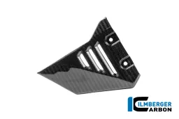 Front triangle cover for rear frame left carbon glossy R 1300 GS Adventure