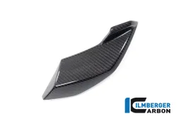 Side Cover Headlight left side BMW S 1000 R MY from 2021 / M 1000 R MY from 2023