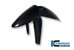 Front Mudguard Carbon - BMW R 1200 GS (LC from 2013)