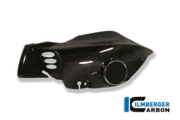 Airtube left Carbon - BMW K 1200 R (2005-2008)