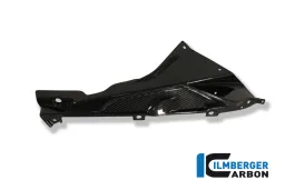 Fairing Side Panel Upper / Badge Holder (right) Carbon - BMW S 1000 RR StraÃŸe (2010-2014) / HP 4