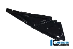 Rear Frame Cover Right Carbon - BMW R 1200 GS (LC from 2013)