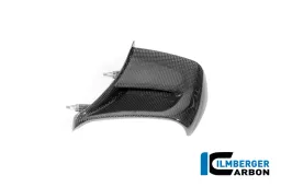 Left Winglet Carbon Gloss Panigale V4 2025