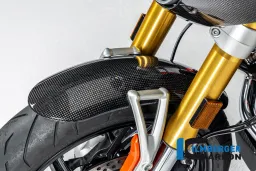 Front fender carbon glossy BMW R12 NineT 2024