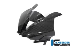 Front Fairing (one piece) Carbon - BMW M 1000 RR Racing (from 2021)