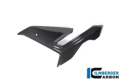 Fairing Side Panel left BMW M 1000 R 2023
