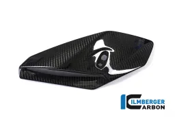 Front Fairing Side Panel right Side Carbon - BMW S 1000 R