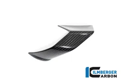 Fairing Side Winglet right side BMW S 1000 R MY from 2021