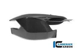 Swingarmcover with upper chain guard gloss Diavel 1260