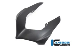 Front fairing matt Panigale V4R